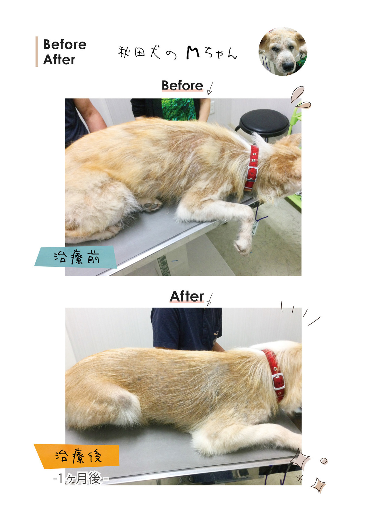 秋田県のMちゃん