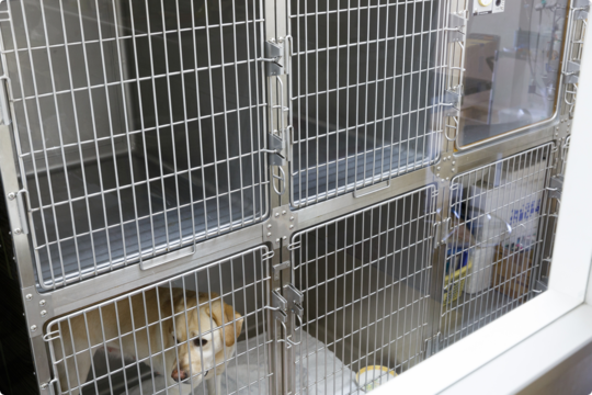 院内・機材のご紹介 - タガワアニマルホームドクター（奈良県生駒市）