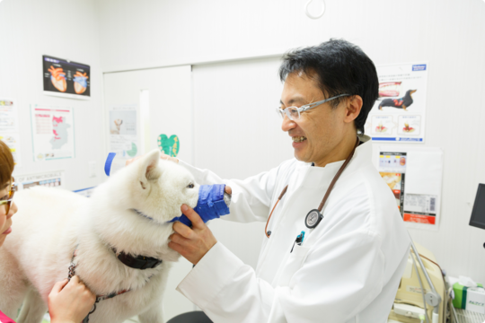 はじめての方へ｜生駒市の動物病院-タガワアニマルホーム